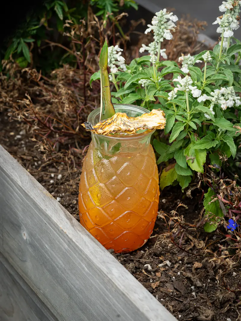 A pineapple-glass cocktail with a dried citrus garnish set in a planter of white flowers