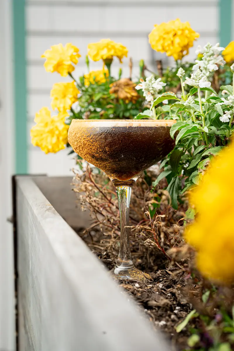 An espresso martini in a coupe among yellow marigolds on the patio